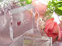 Wedding Decorations